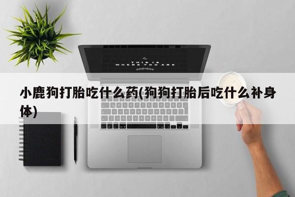流产药在线付款小鹿狗打胎吃什么药(狗狗打胎后吃什么补身体)