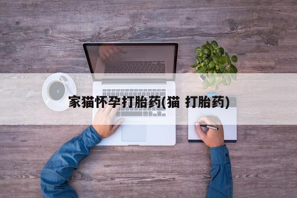 流产药在线付款家猫怀孕打胎药(猫 打胎药)